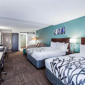 Chambre Accessible aux Personnes à Mobilité Réduite Lit Queen-Size